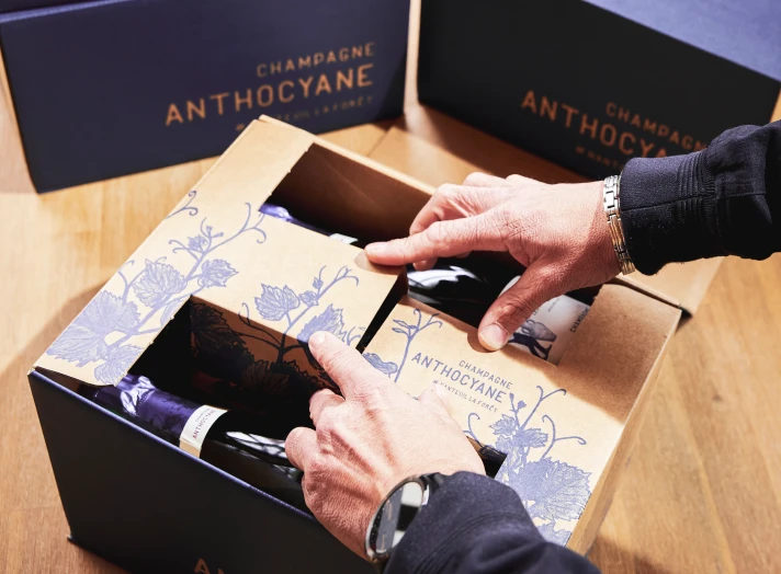 Champagne Anthocyane