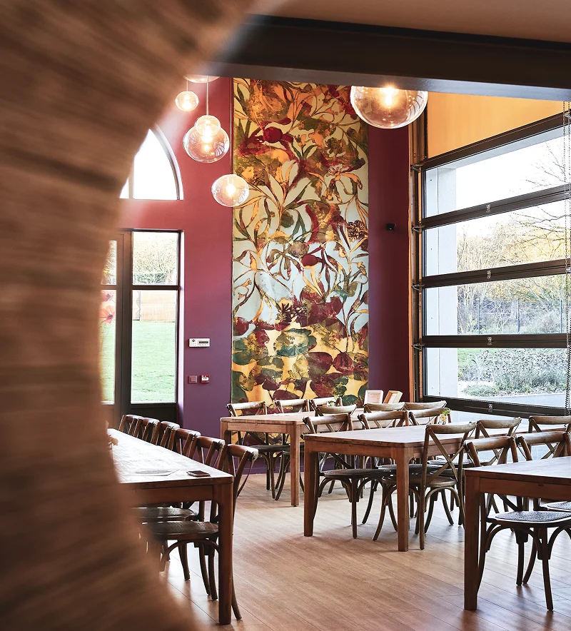 Champagne Anthocyane